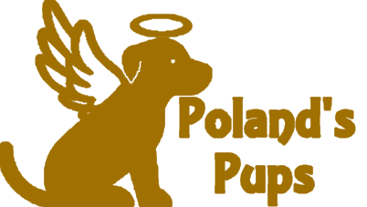 Poland’s Pups