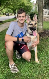 german shepherd